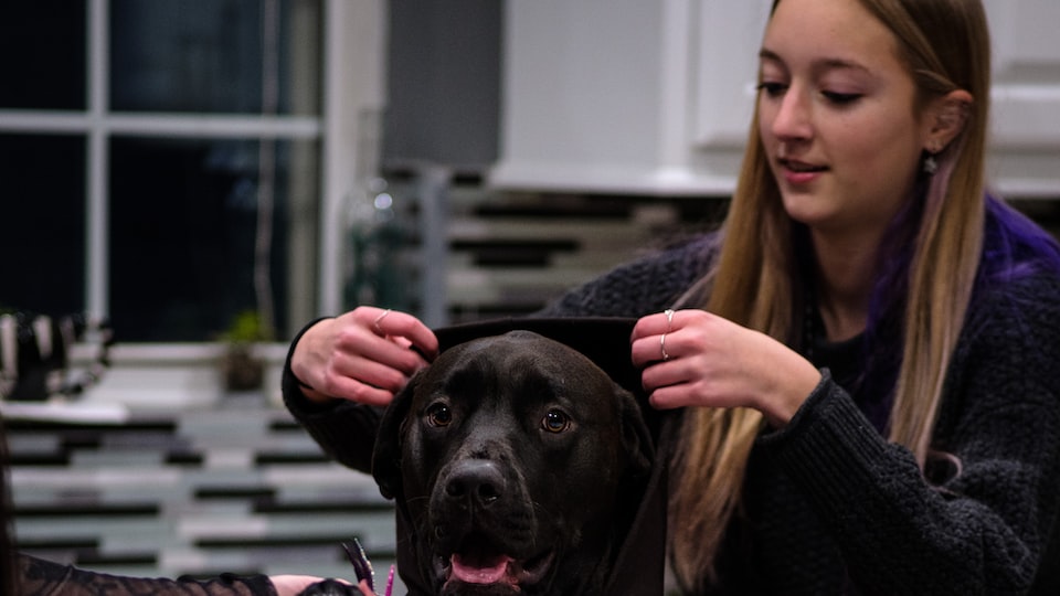  Wie bauen Nagetiere ihre Nester in
  unterschiedlichen Lebensräumen?